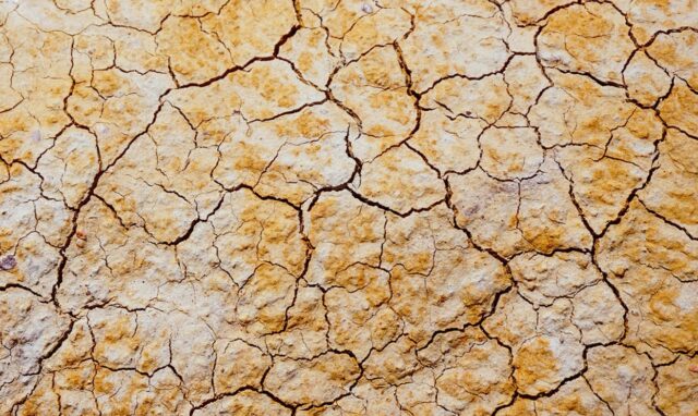 Gudstjänst på söndag